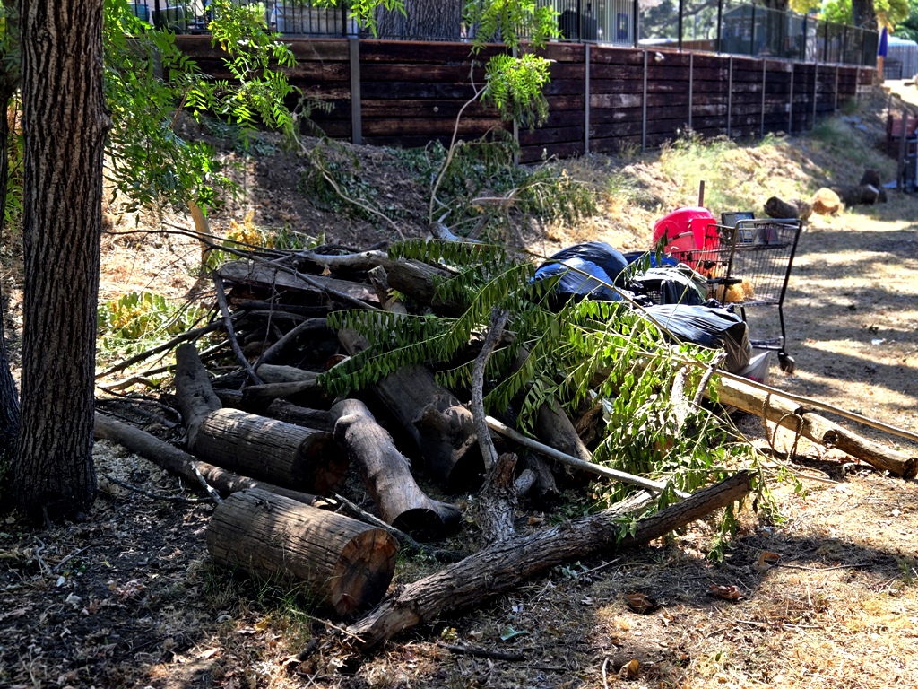 Trash and debris pile.